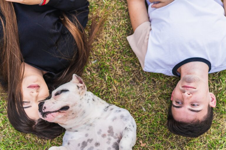 young people laying with American Bully dog showing friendly temperament and strong human bond