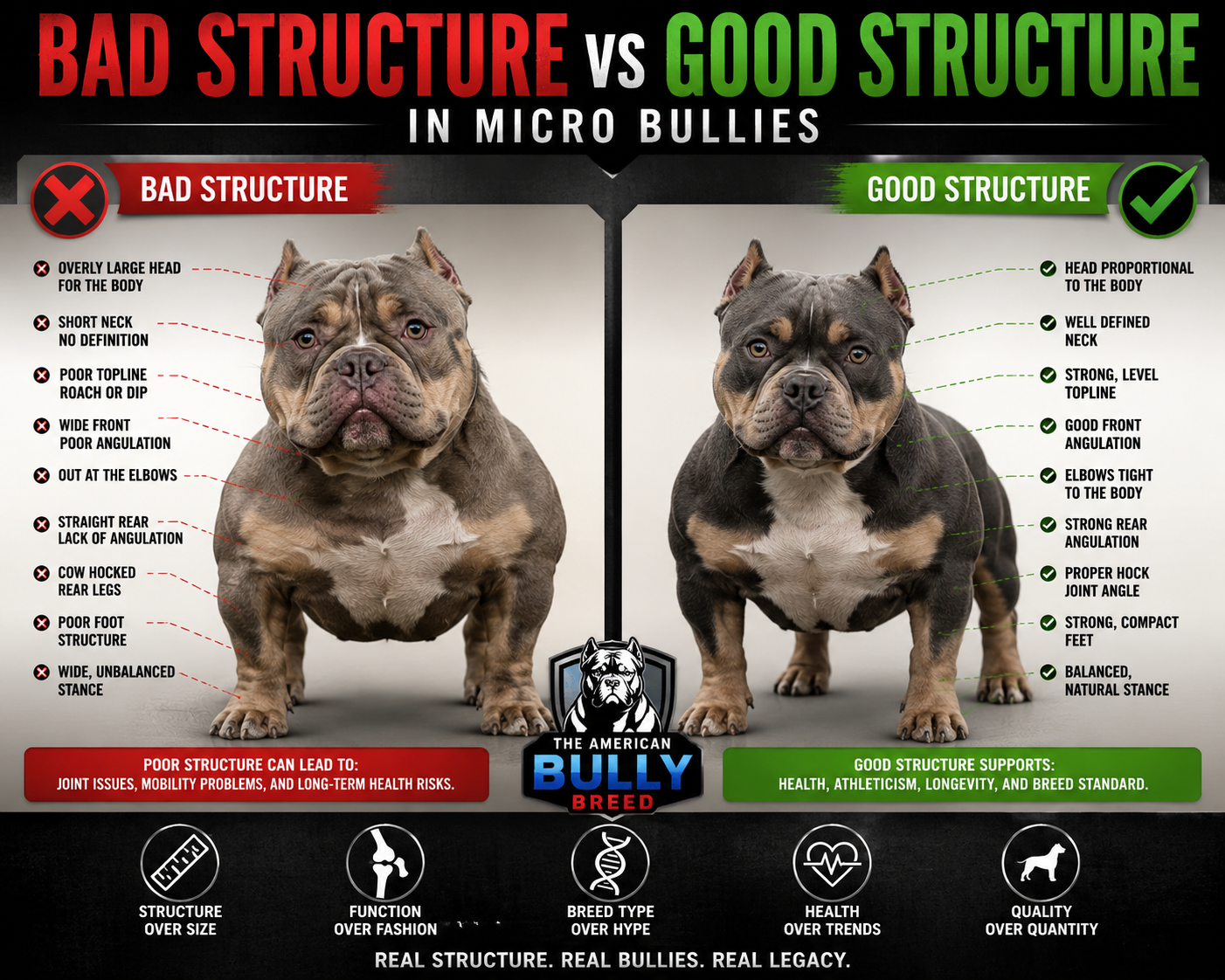 Read more about the article Bad Structure vs Good Structure in Micro Bullies