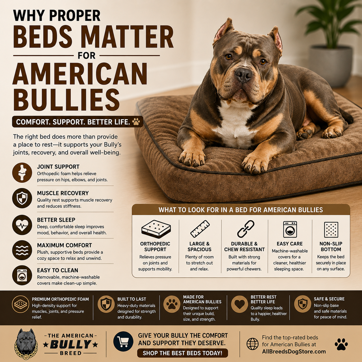 Read more about the article Why Proper Beds Matter for American Bullies