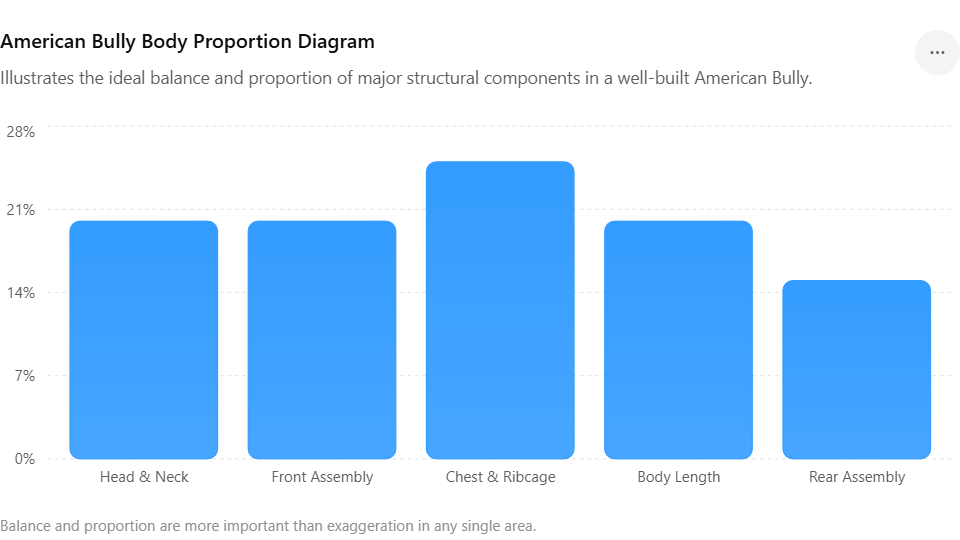 The American Bully Breed | American Bully Structure Guide: What Correct Proportions Look Like