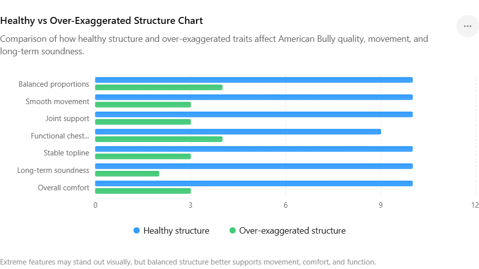 The American Bully Breed | Why Structure Matters in American Bullies