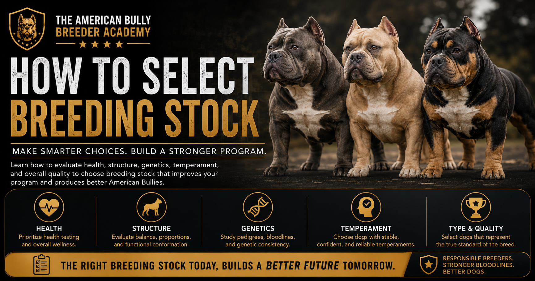 Read more about the article How to Select Breeding Stock: Building the Foundation of a Successful American Bully Program
