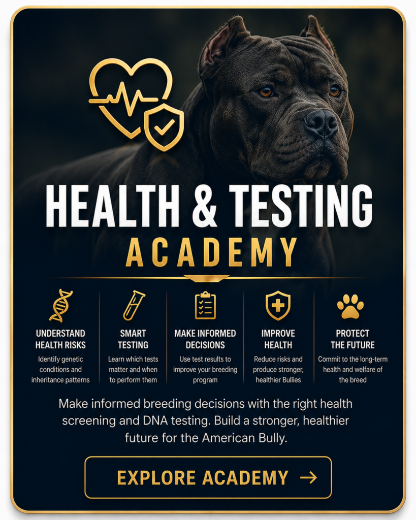 The American Bully Breed|Home