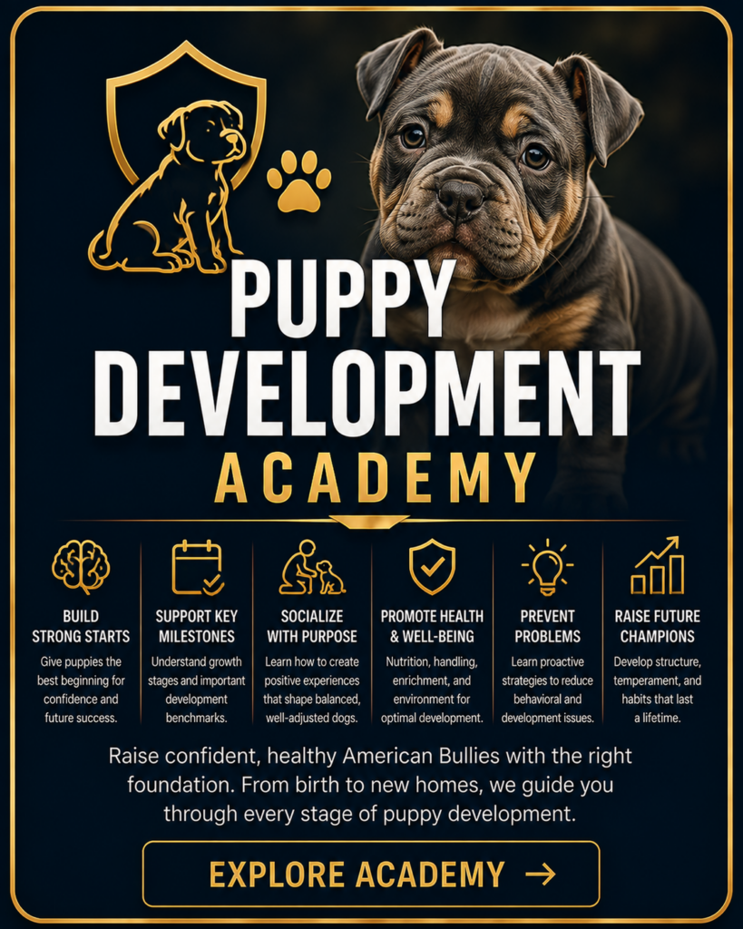 The American Bully Breed|Home