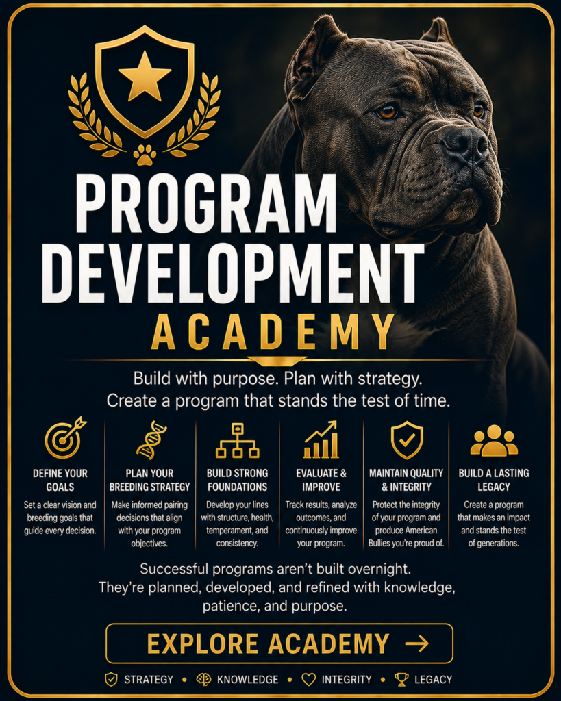The American Bully Breed|Home