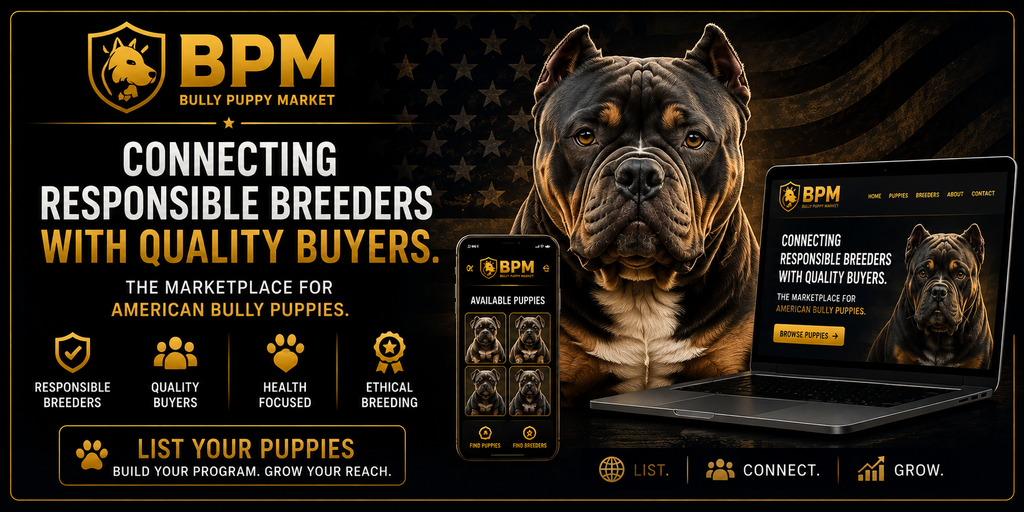 The American Bully Breed | Puppy Marketing Academy: How to Market Puppies Professionally, Ethically & Effectively