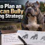 How to Plan an American Bully Breeding Strategy
